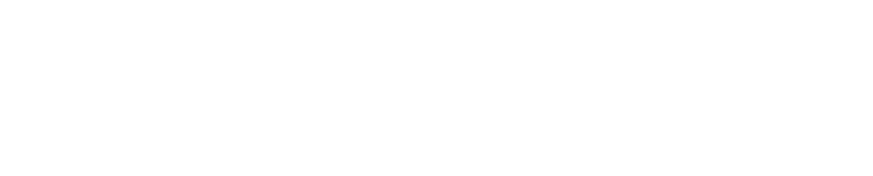 Directors College Logo